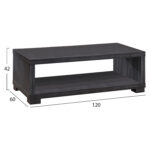 ΤΡΑΠΕΖΙ ΣΑΛΟΝΙΟΥ SALEM HM2217.01 ZEBRANO 120Χ60Χ42εκ. - Image 2